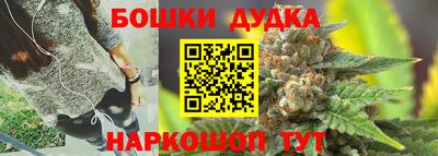 гидра Кинель