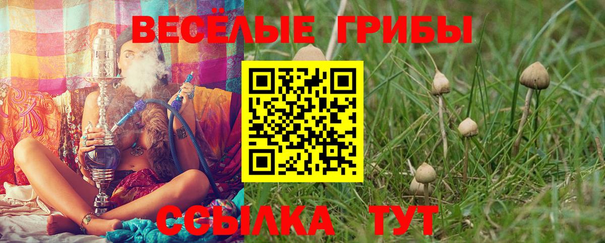 Галлюциногенные грибы Magic Shrooms  Вход с VPN  Псилоцибиновые грибы Magic Shrooms  Тихорецк 